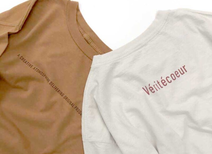 VE-vcc384
